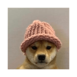 dogwifhat (dogwifcoin.org) Logo